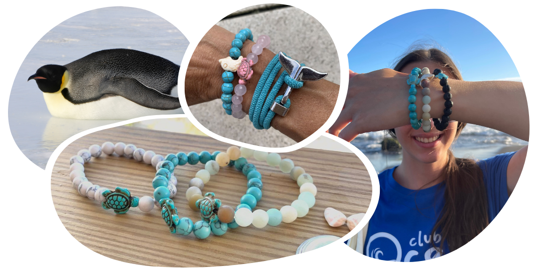 Pinguin-Tracking-Armband