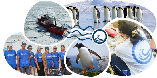Pinguin-Tracking-Armband
