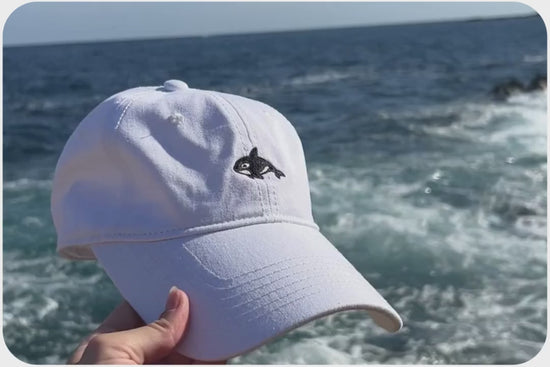 Video in Galerie-Viewer laden und abspielen, Orca Adoption Cap
