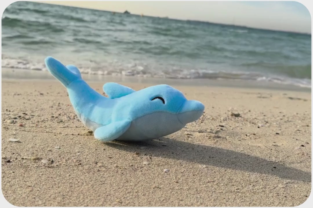 Laden und Abspielen von Videos im Galerie-Viewer, Dolphin Adoption Plushie
