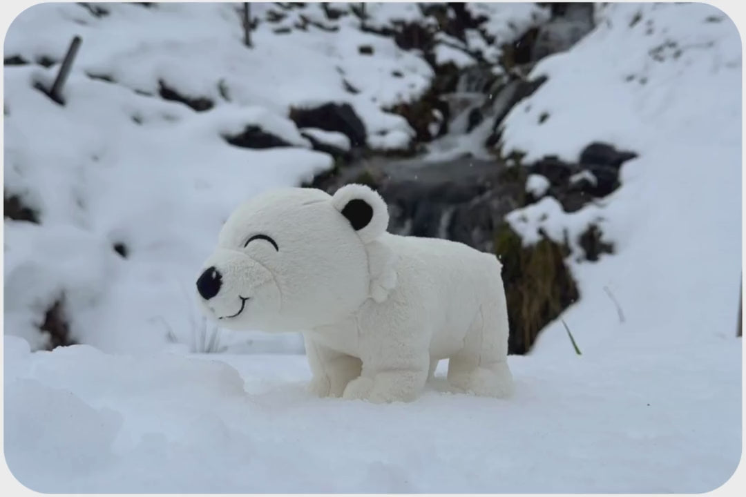 Video in Galeriebetrachter laden und abspielen, Eisbär-Adoptionsplüsch
