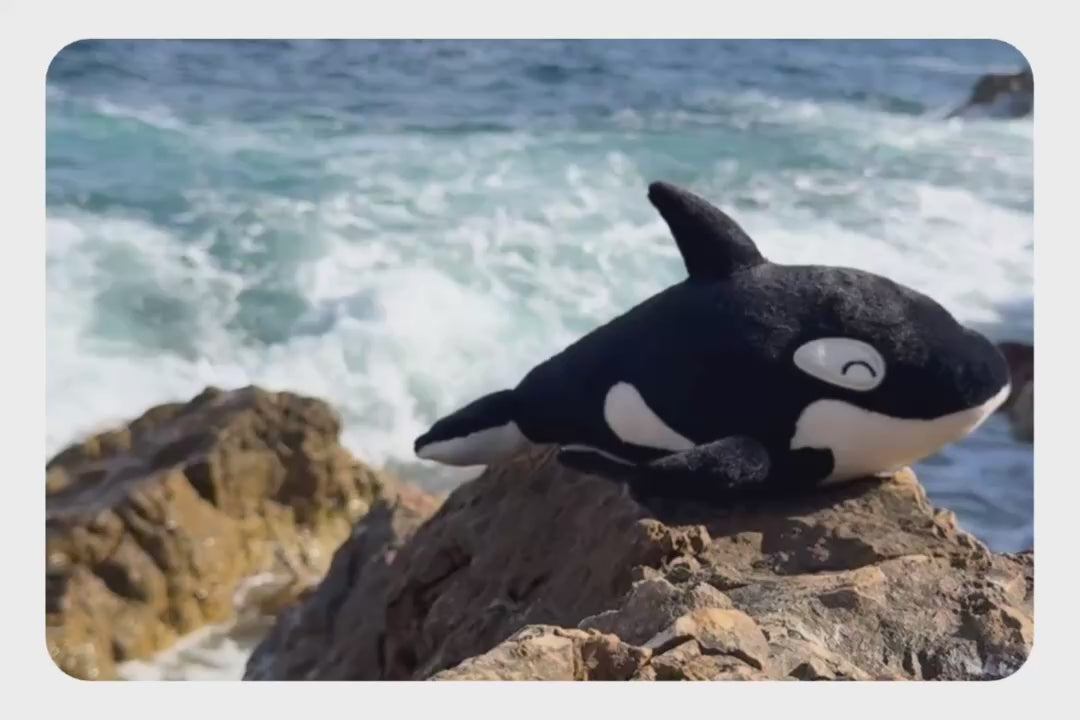 Load and play video in Gallery viewer, Orca Plushie
