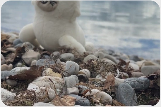 Load and play video in Gallery viewer, Seal Adoption Plushie
