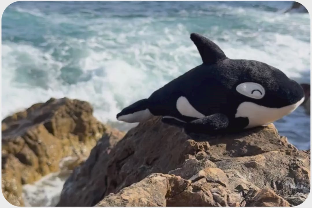 Load and play video in Gallery viewer, Orca Adoption Plushie
